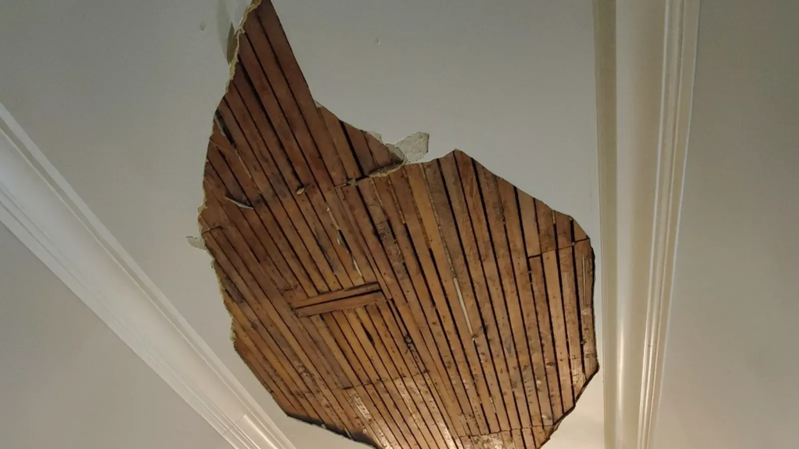 Large section of plaster fallen from a ceiling, exposing the wood lath above, beside painted crown molding
